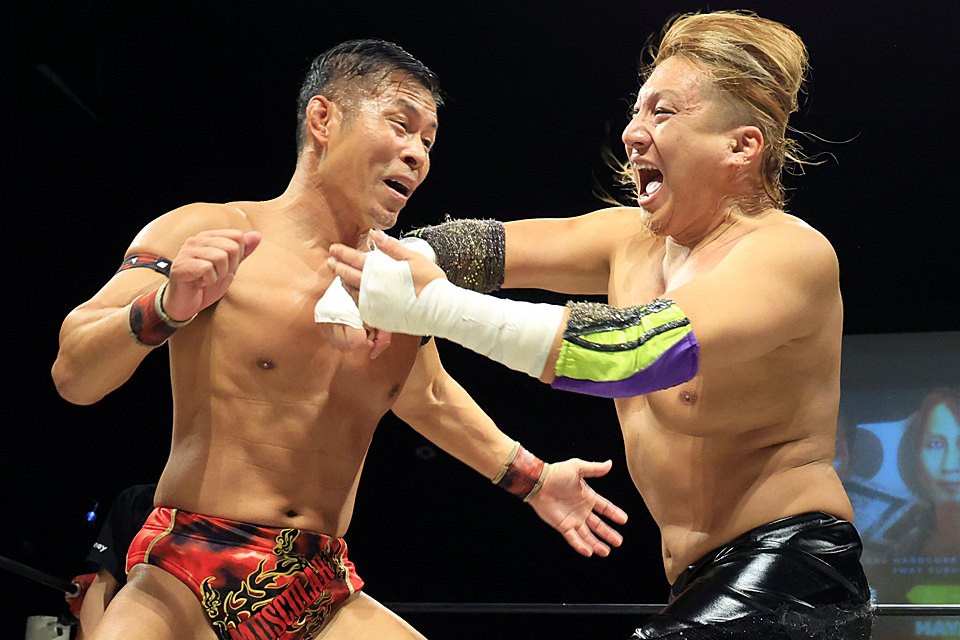 プロレス格闘技DX