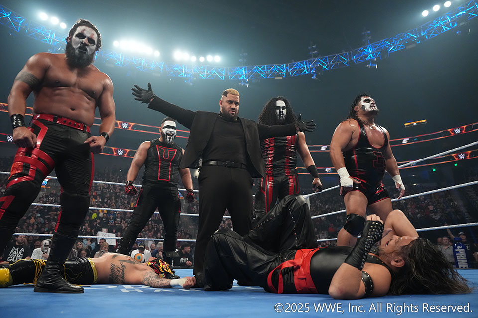 プロレス格闘技DX